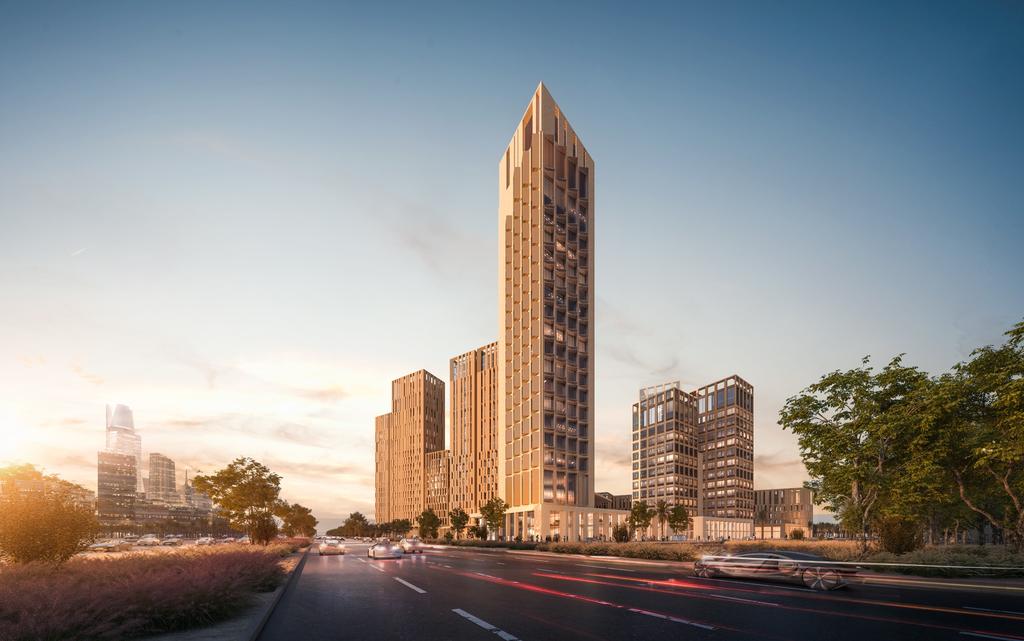 خلفية النرجس الفاخرة